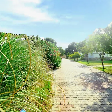 Akay Garden Family Club Курортный комплекс 2*